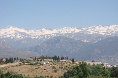 Granada1 (48)